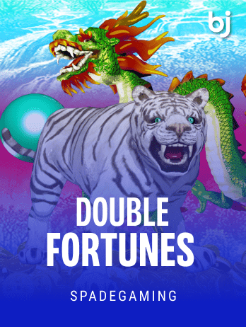 Double Fortunes screenshot